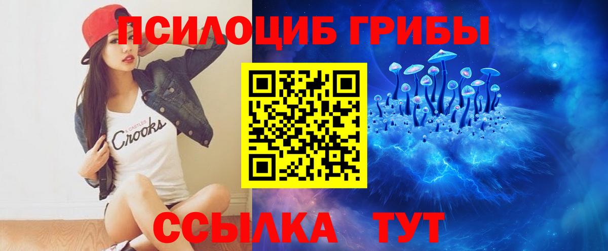 Галлюциногенные грибы Psilocybine cubensis  Вход с VPN  Углич 