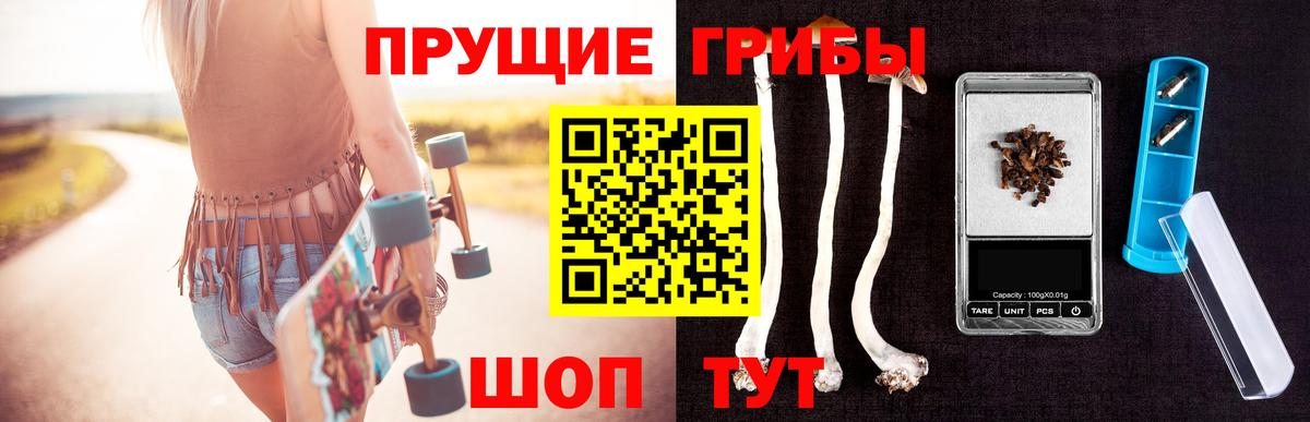 Галлюциногенные грибы Psilocybe Углич